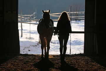 Unknown rider with a saddle horse on frozen winter day in riding hall