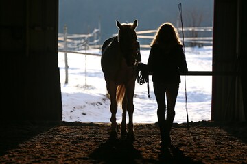 Unknown rider with a saddle horse on frozen winter day in riding hall