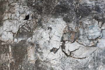 stone, concrete texture background