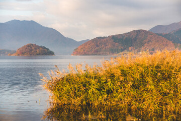 Naklejka premium 早朝の湖のほとりの風景