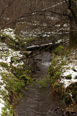 A stream near the path in the winter national park.