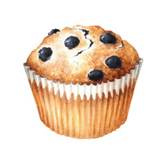 Sketch of muffins beautiful and delicious pastries picture 8