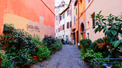 Beautiful ancient street in Rome lined with leafy vines and cafe tables, Italy