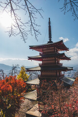 Naklejka premium 日本の伝統的な建物