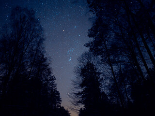 Night sky with stars road forrest © pixelsinpicture