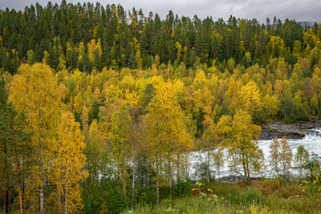 Målselvfossen near Bardufoss in north Norway