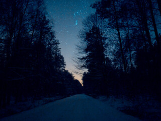 Night sky with stars road forrest