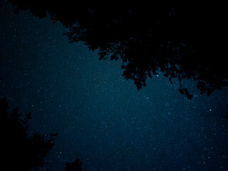 Night Sky with trees