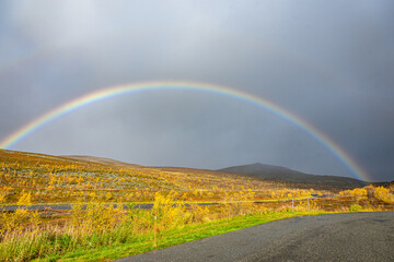 Rainbow over a yellow landscape ein Norway