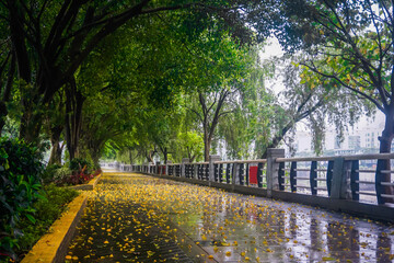 Empty park pedestrian road in China in rainy weather