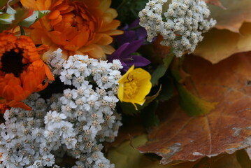 autumn bouquet, floristry, wild flowers