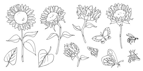 line drawing woman people clipart black woman png face line art hand drawn flower floral sketch sunflower girls digital clipart women