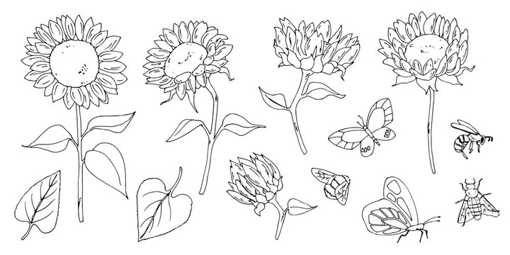 line drawing woman people clipart black woman png face line art hand drawn flower floral sketch sunflower girls digital clipart women