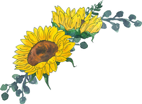 recommend clip art: sunflower watercolor clipart arrangement sunflower eucalyptus illustration watercolor flower clipart watercolor floral sketch