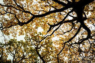 Glenveagh-Nationalpark in Irland County Donegal