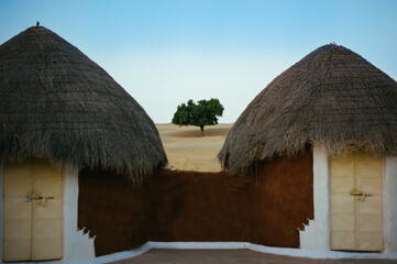 arbre dans le d&eacute;sert du Thar Rajasthan Inde 
