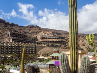Riesenkaktus im Hintergrund zu sehen Hotelneubau auf der Insel Gran Canaria
