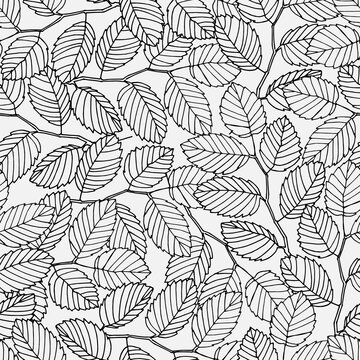 Seamless pattern with elm tree branches and leaves on white background for surface design and other design projects. Monochrome realistic line art