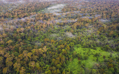 Aerial view of the Borneo rainforest at Klias Forest Reserve, Beaufort Sabah.