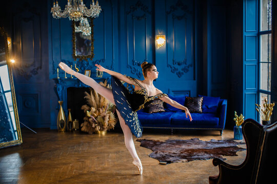 A beautiful graceful ballerina girl in a dark blue dress is dancing in pointe shoes. Chic Interiors, Theater