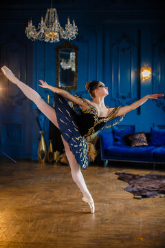 A beautiful graceful ballerina girl in a dark blue dress is dancing in pointe shoes. Chic Interiors, Theater