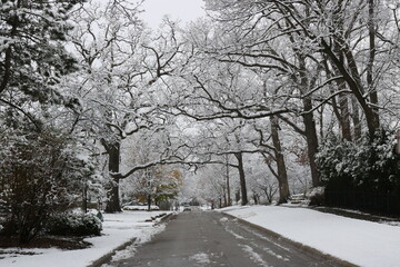 Obraz premium Road with snow
