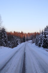 Fototapeta na wymiar Forest road in winter