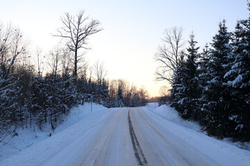 Forest road in winter