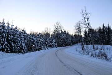 Fototapeta na wymiar Forest road in winter