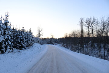 Fototapeta premium Forest road in winter