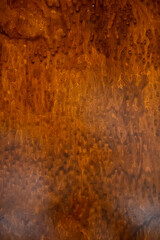 The texture of the antique polished mahogany surface.