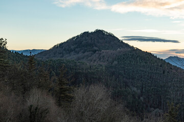 Caminando entre Paisajes y arboles de Listorreta Errenteria