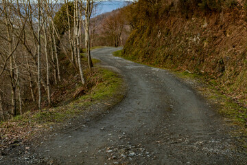 Caminando entre Paisajes y arboles de Listorreta Errenteria