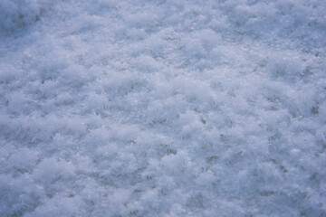 Background, texture of fresh fallen snow. Snowflakes close-up. The winter time of year