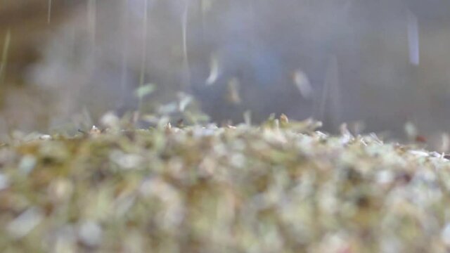 Falling grains, slow motion
