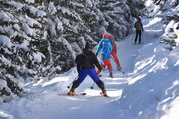 narciarze skiturowi w Tatrach, turyści na szlaku w Dolinie Gąsienicowej, uprawianie sportów zimowych - obrazy, fototapety, plakaty