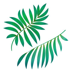 Groene tropische palmbladeren, set geïsoleerd op een witte achtergrond. vector illustratie