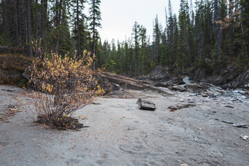 Obraz premium Canada