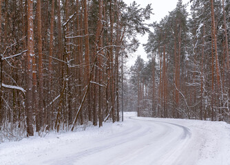 The road through a pine forest during a snowfall. Winter landscape.