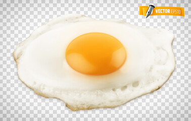 Oeuf au plat vectoriel sur fond transparent