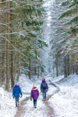 Naklejka premium Mother and children enjoying a walk through the woodland together in winter, Bialowieza Forest, Poland 