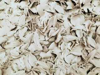 Fallen leaves under the snow, in brown tones. First snow. Background, top view.