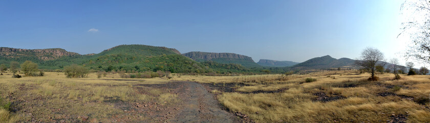 Fototapeta na wymiar India, Rohtambor nature reserve, landscape 