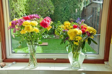 Flowers in the window