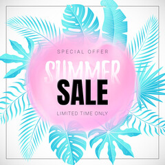 Summer sale cute banner with tropical leaves