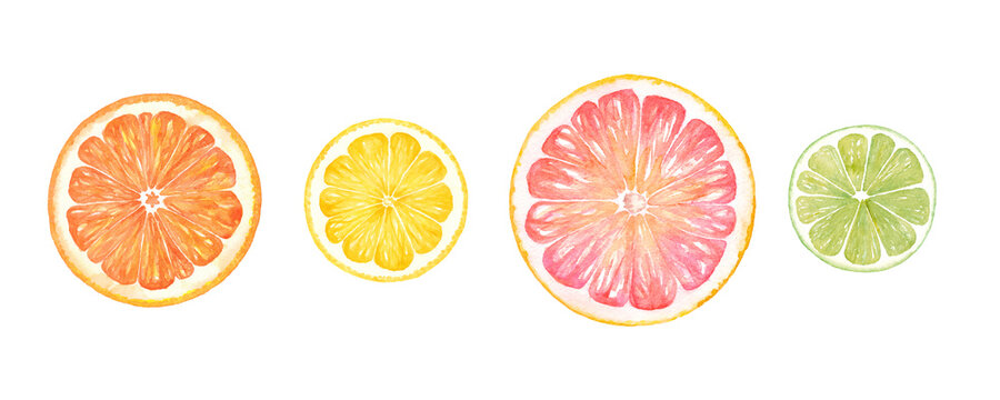 レモンの輪切り のストック写真 ロイヤリティフリーの画像 ベクター イラスト Adobe Stock