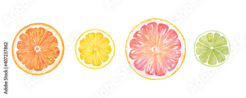 シトラスの輪切りの水彩イラスト オレンジ レモン グレープフルーツ ライムのセット 水彩のトレースベクター Wall Mural Keiko Takamatsu