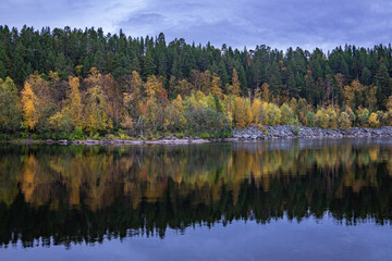 Fototapeta na wymiar River with colored trees on the side in Norway
