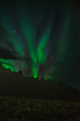 Northern lights in green and blue near Alta in Norway