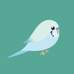 

An illustration af a very cute light blue budgie. It is a male bird.